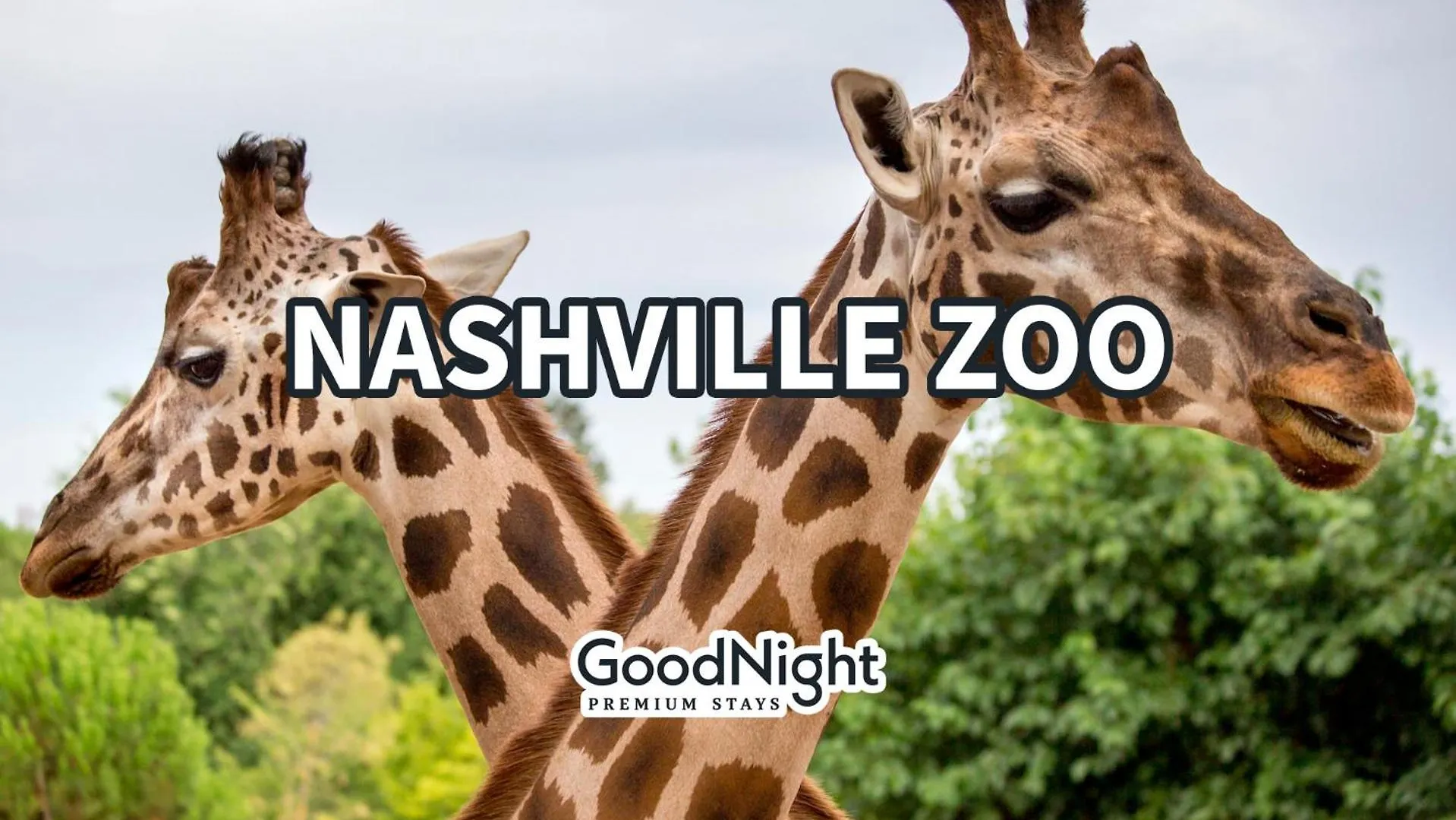 Casa vacanze Villa Hyve - Timber Blanc - Walk To Broadway Nashville Stati Uniti